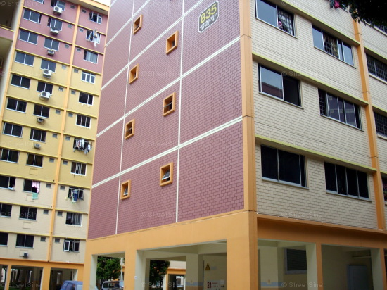 Jurong West Street 81 thumbnail photo